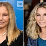barbra streisand