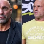 joe rogan net worth